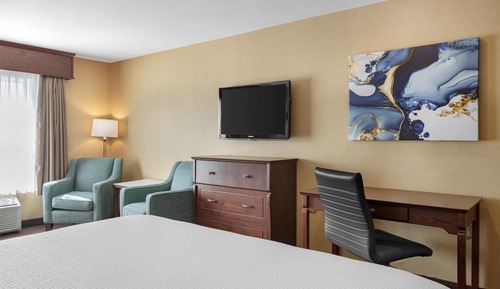 Suite, 1 King Bed, Non Smoking, Kitchenette (with Sofabed)