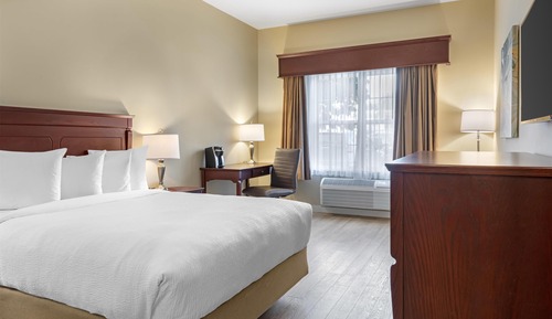 Standard Room, 1 Queen Bed, Non Smoking, Refrigerator & Microwave