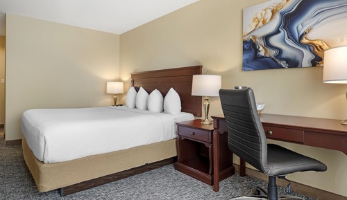 Standard Room, 1 King Bed, Non Smoking, Refrigerator