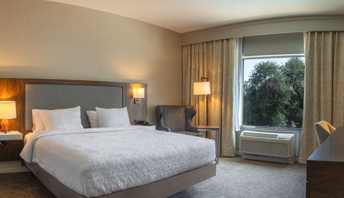Room, 1 King Bed, Accessible