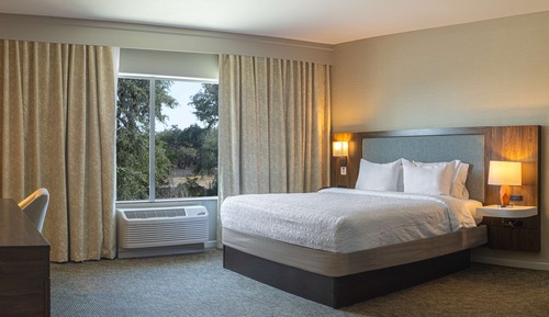Suite, 1 King Bed with Sofa bed