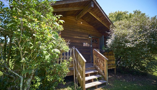 Cades Cove Cabin Suite
