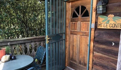 Mt. Leconte Cabin Suite