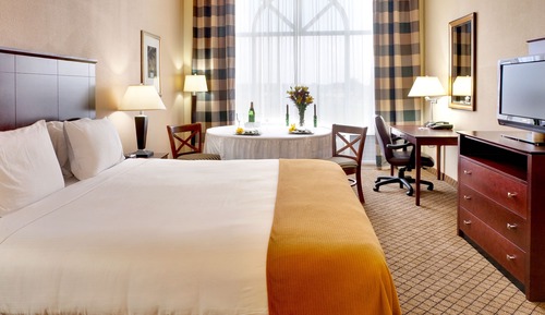 Suite, 1 King Bed with Sofa bed