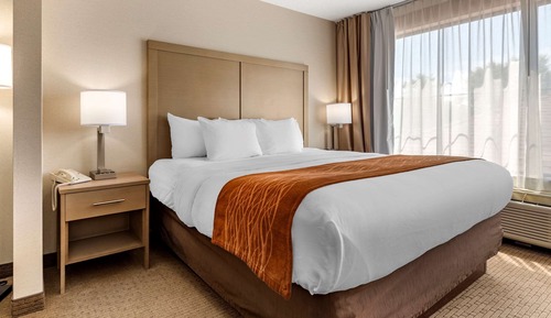 Suite, 1 King Bed with Sofa bed, Non Smoking