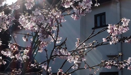 House Waterloo in Tibenham - max 30 people