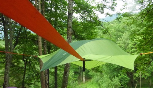 Panoramic Tree House, Multiple Beds, Non Smoking