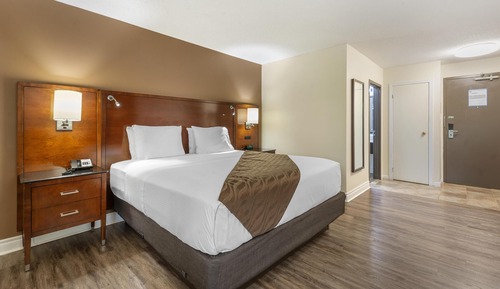 Standard Room, 1 King Bed, Non Smoking, Refrigerator & Microwave