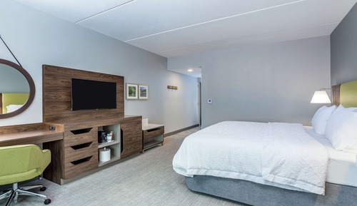 Room, 1 King Bed, Accessible, Bathtub (Mobility & Hearing)