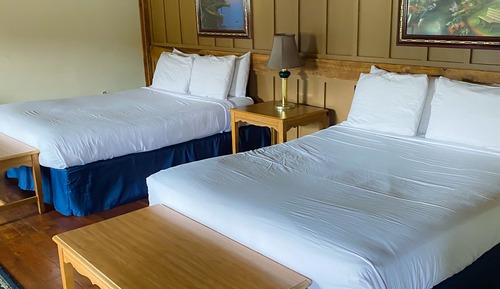 Studio, Multiple Beds, Non Smoking