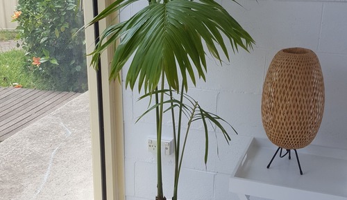 Deluxe Queen with Single 