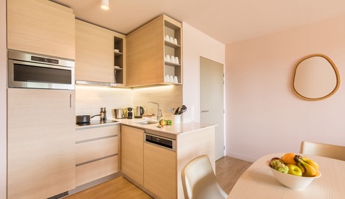 Apartment (VIP with 3 rooms, 2 bedrooms)