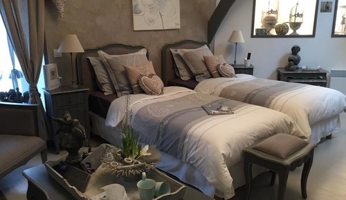 Comfort Double or Twin Room (Amour)