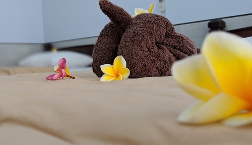 Deluxe Twin Room, Balcony, Pool View