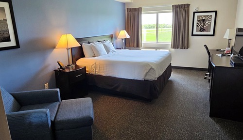 Room, 1 Queen Bed, Mobility Accessible, Non Smoking