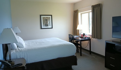 Studio Suite, 1 King Bed with Sofa bed, Non Smoking