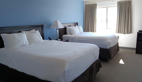 Studio, Multiple Beds, Non Smoking