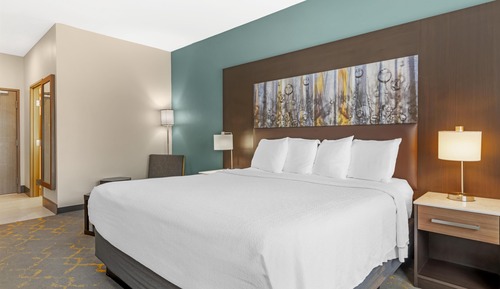 Standard Room, 1 King Bed, Non Smoking, Refrigerator & Microwave