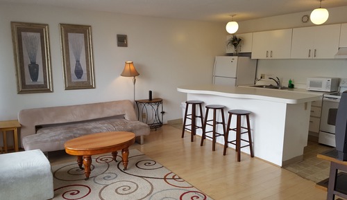 Apartment, 1 King Bed with Sofa bed, Non Smoking