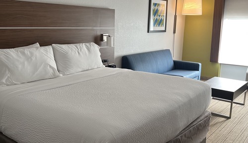 Suite, 1 King Bed with Sofa bed