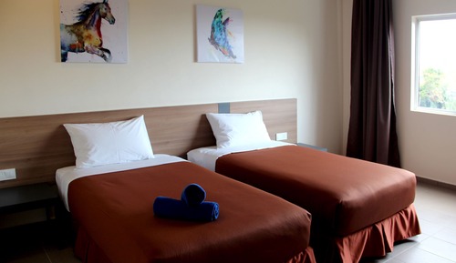 Standard Single Room, City View