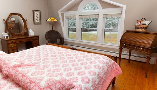 Standard Room, 1 King Bed, Non Smoking (Terry)