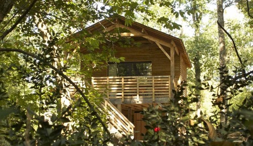 Ecolodge (L'Ornitho)