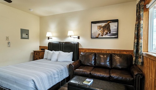 Studio Suite, 1 Queen Bed with Sofa bed, Non Smoking, Hill View