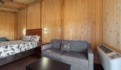 Deluxe Double Room, Ensuite (Delux King + 2 Sofa Beds)