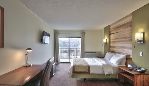 Room, 1 Queen Bed