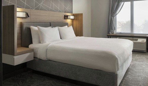 Suite, 1 King Bed