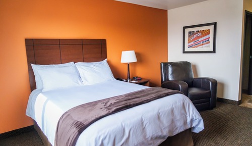 Room, 1 King Bed