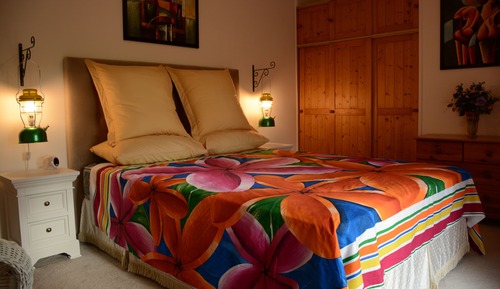 Deluxe Double Room, 1 Queen Bed, Garden View