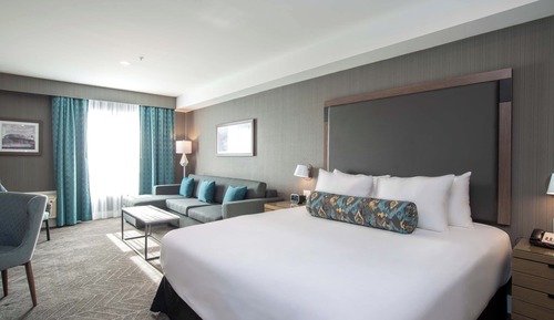 Standard Room, 1 King Bed with Sofa bed