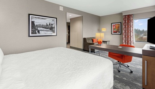 Suite, 1 King Bed, Accessible, Refrigerator & Microwave (Hearing)