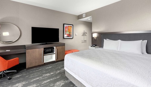 Room, 1 King Bed, Accessible, Bathtub