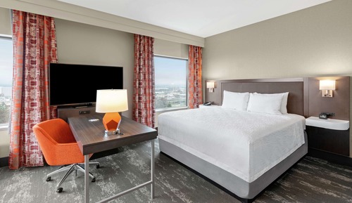 Suite, 1 King Bed, Accessible, Refrigerator & Microwave (Roll-In Shower)