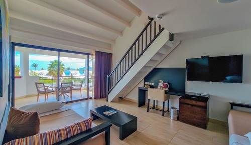 Standard Duplex, Multiple Beds (Suite)