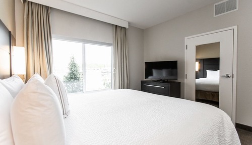 Studio, 1 King Bed with Sofa bed