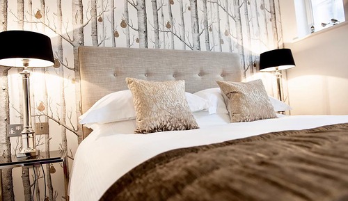 Deluxe One-Bedroom Apartment