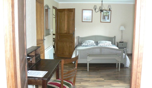 Double Room, 1 King Bed (Élodie)