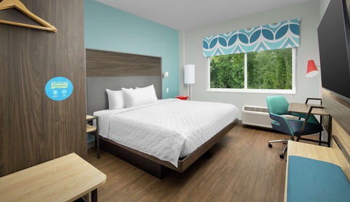 Room, 1 King Bed