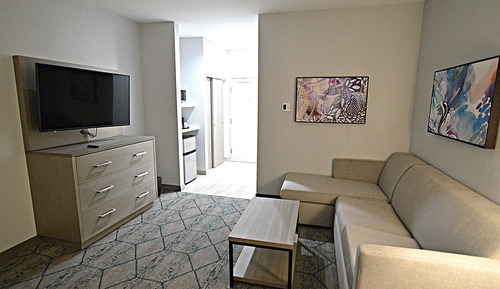 Suite, 1 King Bed, Non Smoking, Kitchenette (Shower Only;with Sofabed)