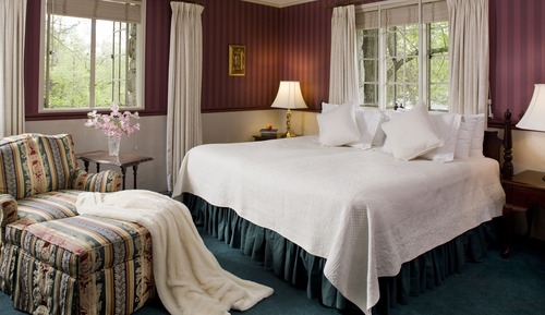Pet Friendly Suite