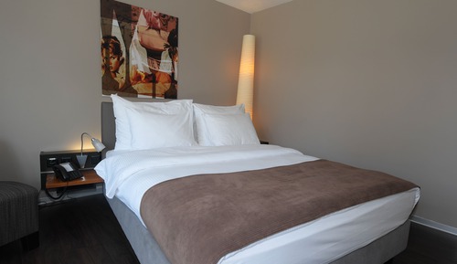 Business Double Room, 1 Queen Bed, Non Smoking