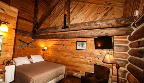 Standard Single Room, 1 Queen Bed, Mountain View (Winter)