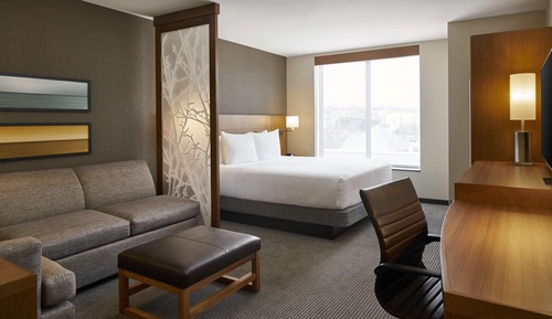 Room, 1 King Bed with Sofa bed, Accessible (Shower)