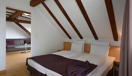 Exclusive Studio Suite, Multiple Bedrooms