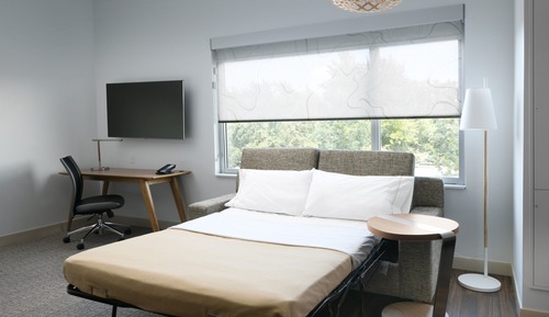 Studio, 1 King Bed with Sofa bed (Mobility Accessible, Roll-in Shower)