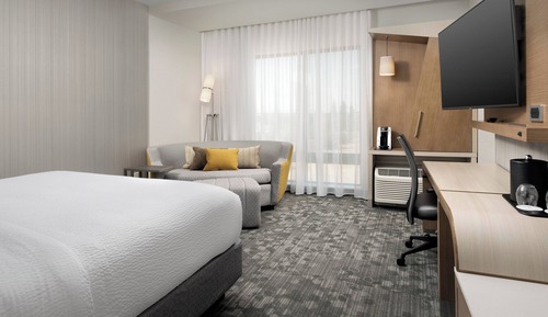 Room, 1 King Bed with Sofa bed
